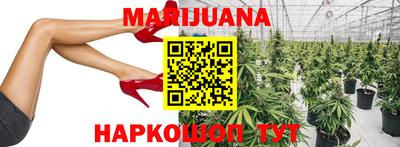 амф Дубна
