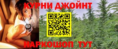амф Дубна